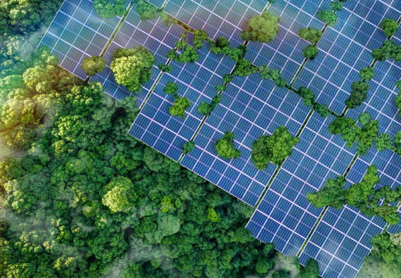 ����֮��hy590(�й�)���¹ٷ���վ