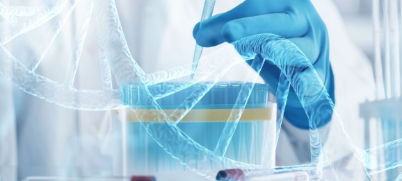 ����֮��hy590(�й�)���¹ٷ���վ